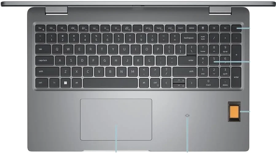 A184E580-F543-2CA8-7327-6455BCB13702